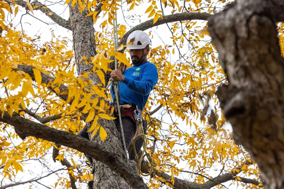 Skilled Storm Damage Cleanup crew working in Newbury