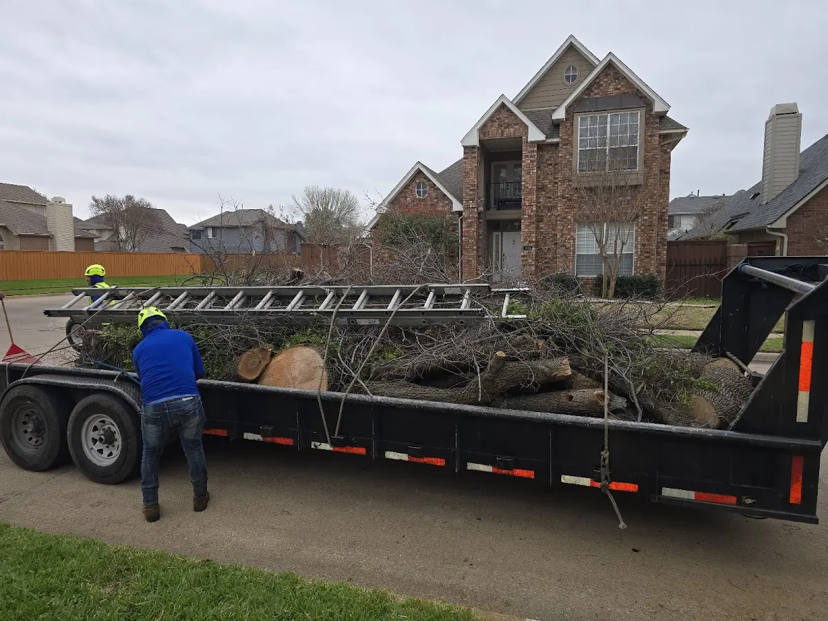 Expert Tree Fertilization with proper safety equipment in Newbury
